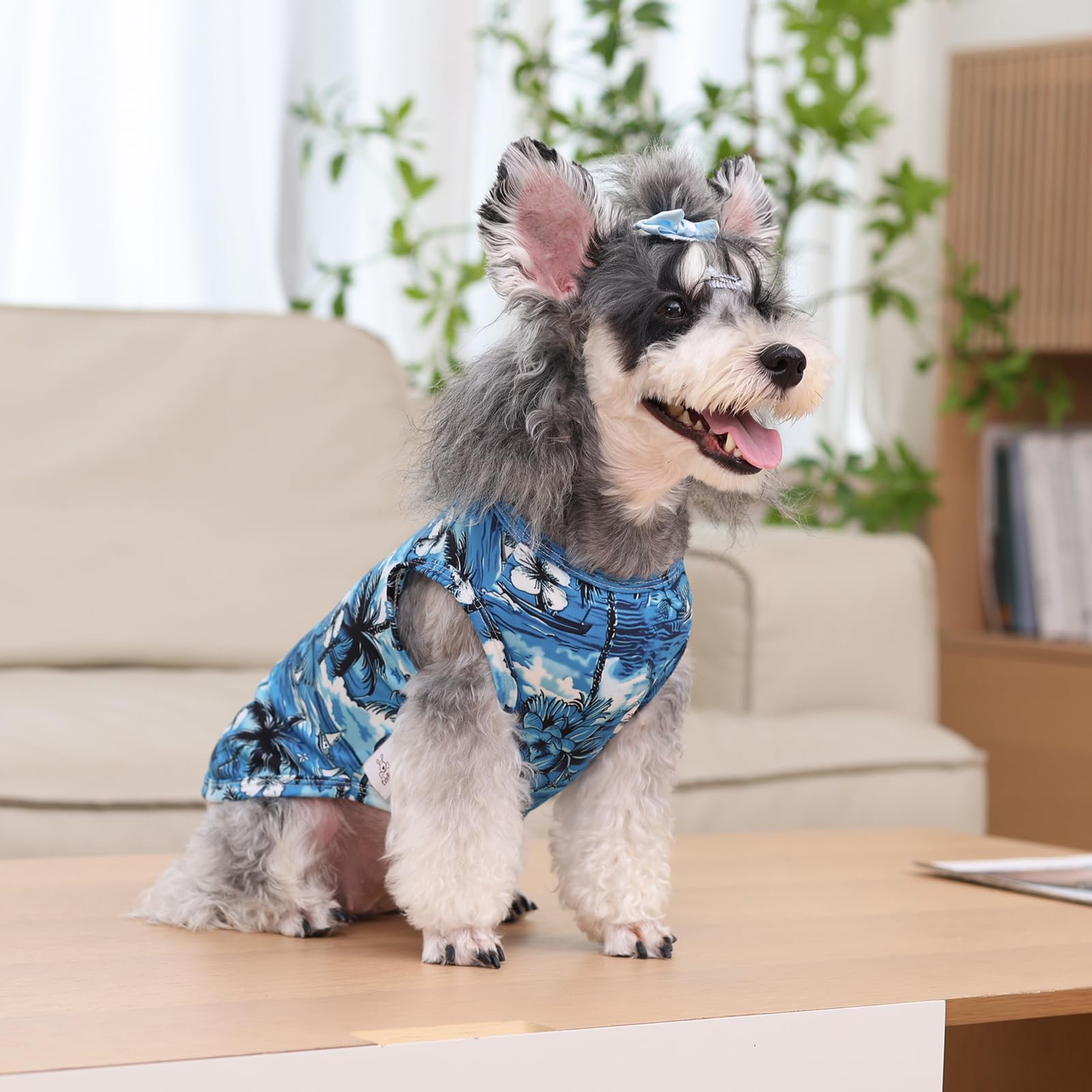 CuteBone dog shirts 2pack pack-shot, demonstrating value and versatile styling options.