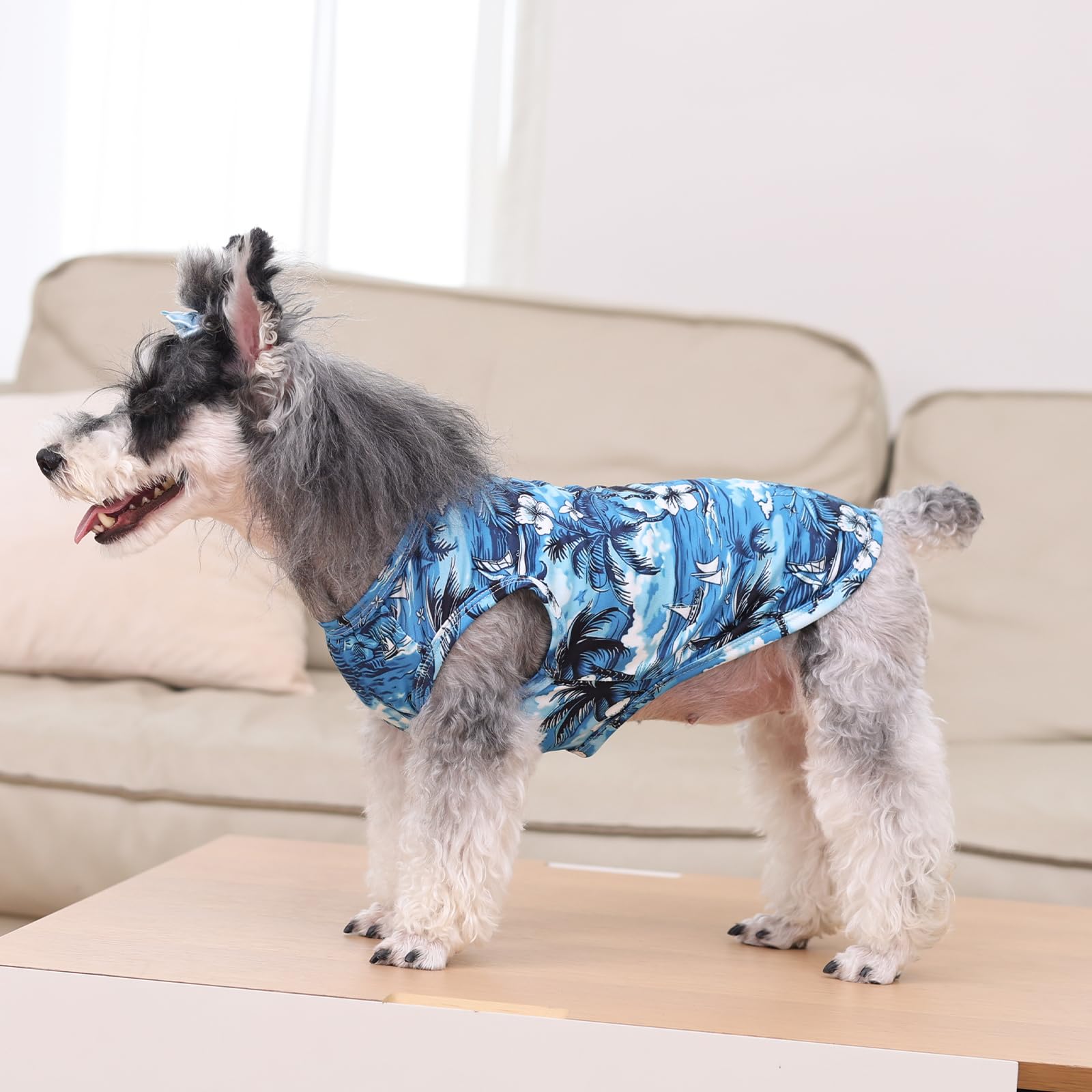 CuteBone dog shirts easy-on-off pullover image, quick dressing for busy mornings.