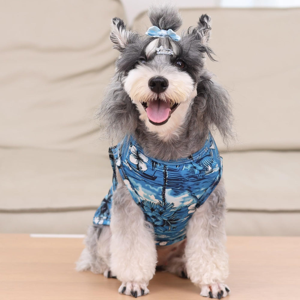 CuteBone dog shirts various-designs-sizes image, promising choice for pets.