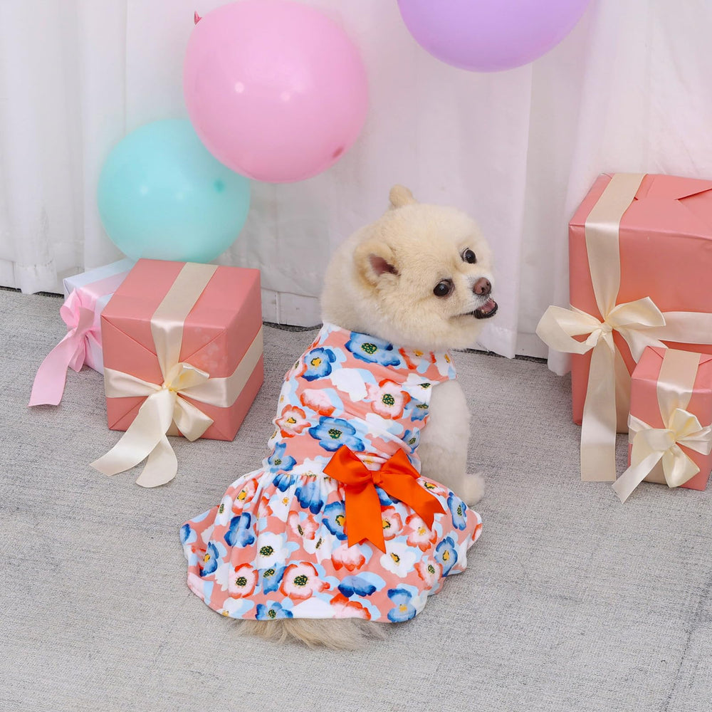 CuteBone velvet dog dress durable for playful daily adventures in small dogs.