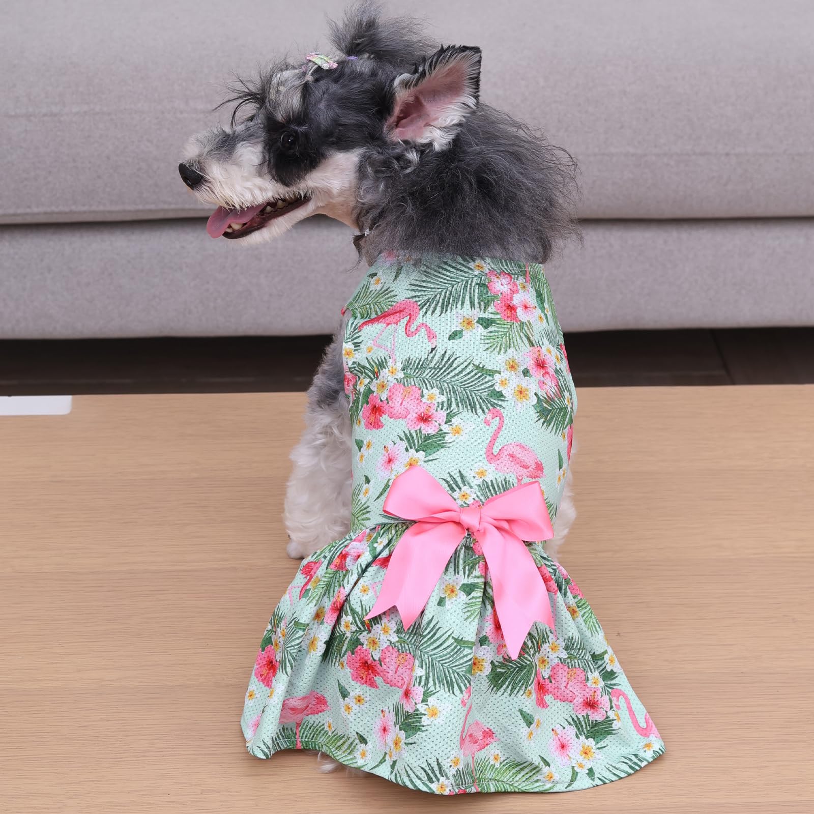 CuteBone dress worn for everyday wear and festive occasions