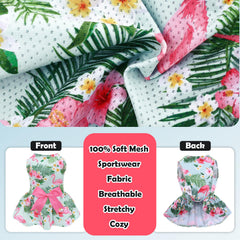 CuteBone dress with matching bow hair rope for complete pet look