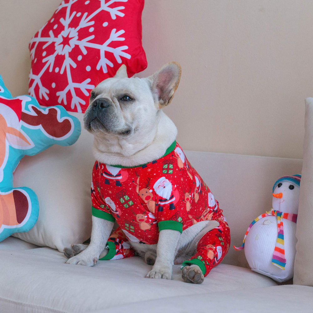 CuteBone easy-pullover design dog pajamas enables quick dressing