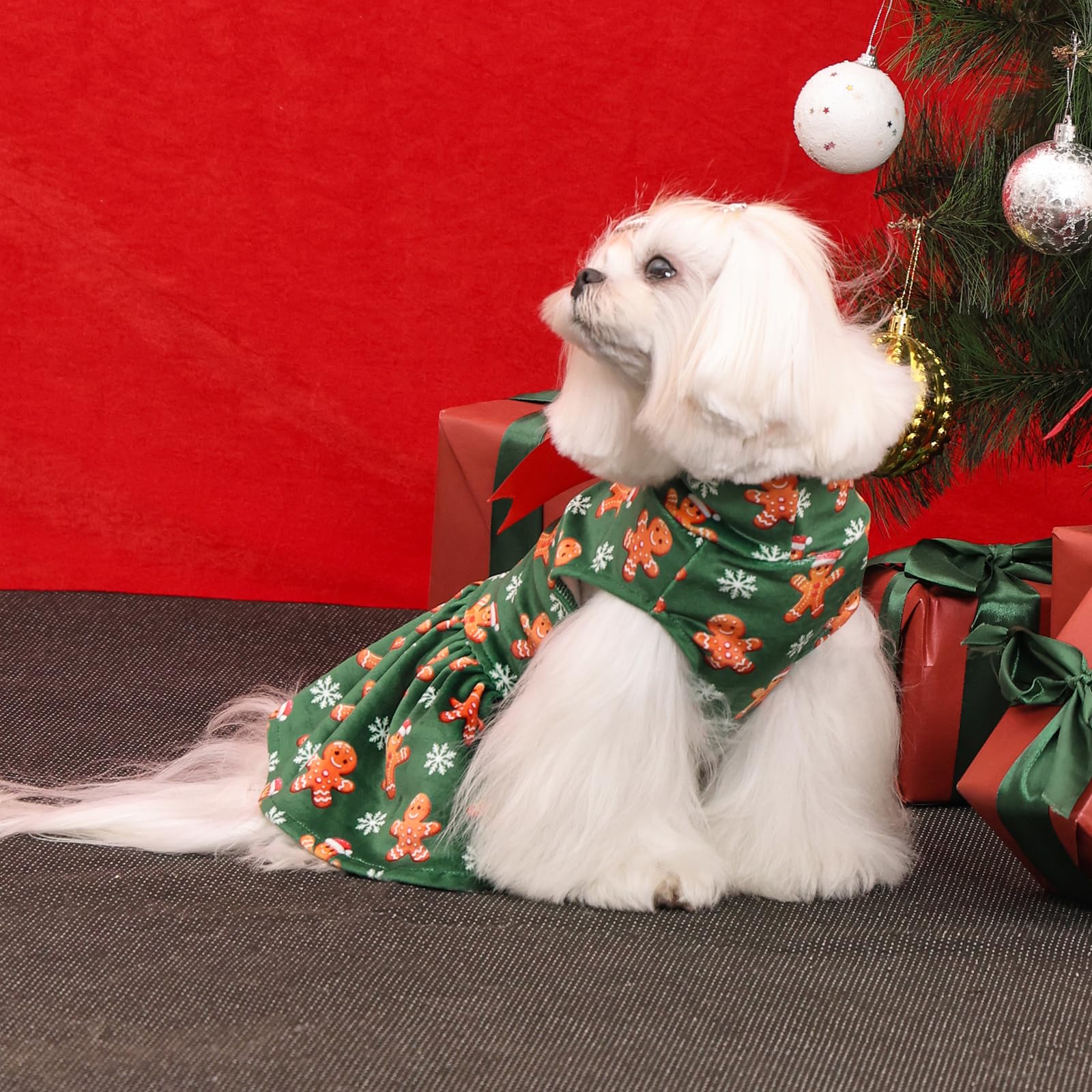 CuteBone cozy everyday wear option for cute dogs
