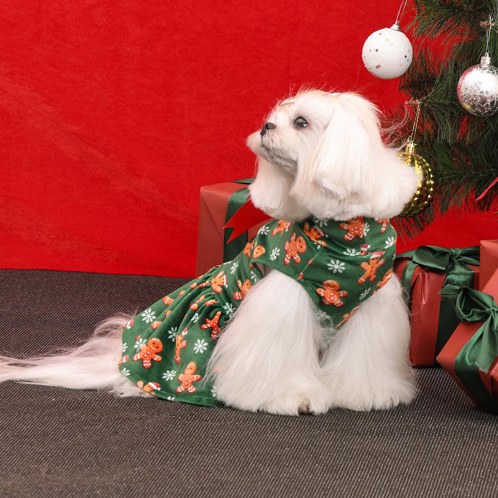 CuteBone cozy everyday wear option for cute dogs