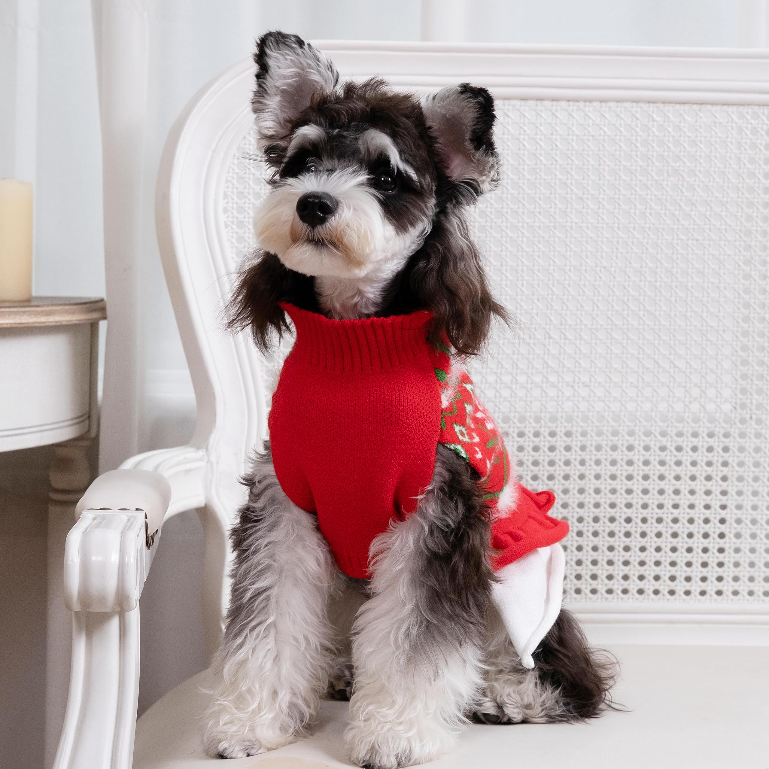 CuteBone Fancy Dog Thick Sweater Dress side view shows comfortable stretch for playful pups.