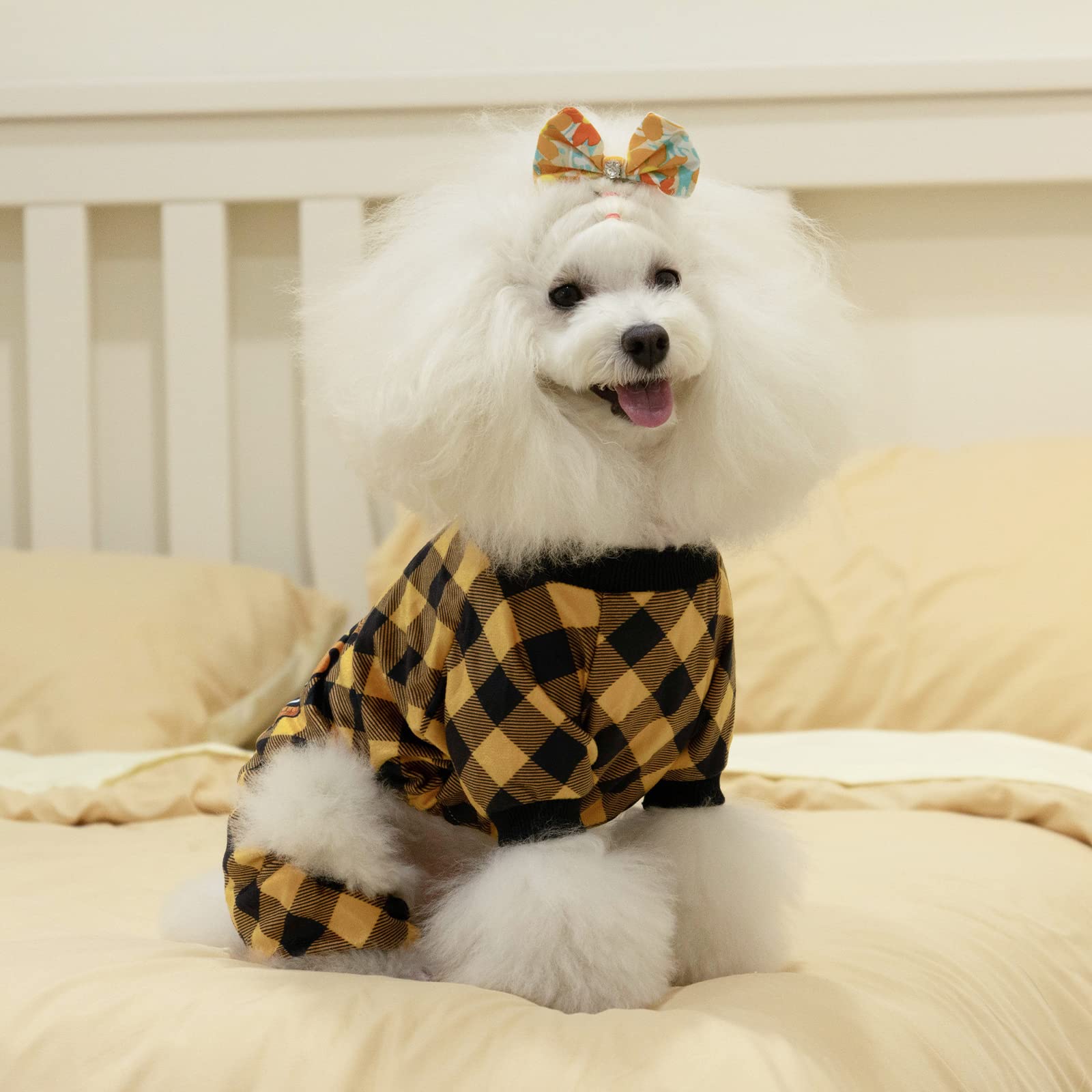 CuteBone photo-ready holiday pajamas invite adorable moments during family gatherings.