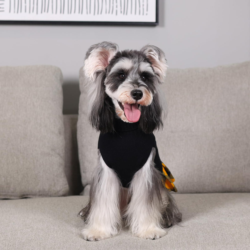 CuteBone leash-hole design for easy walks during celebrations