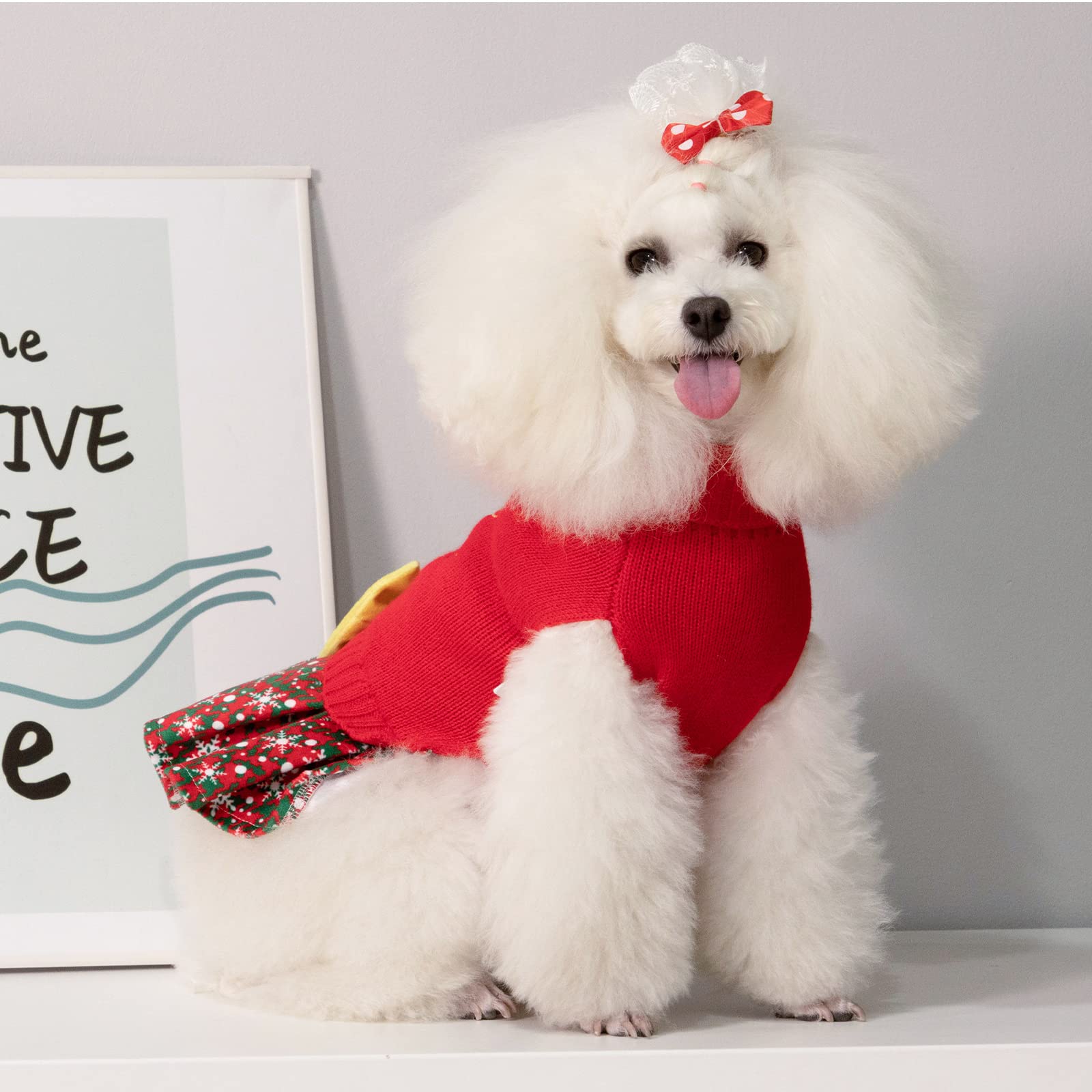 CuteBone leash-hole design offers easy leash access during walks
