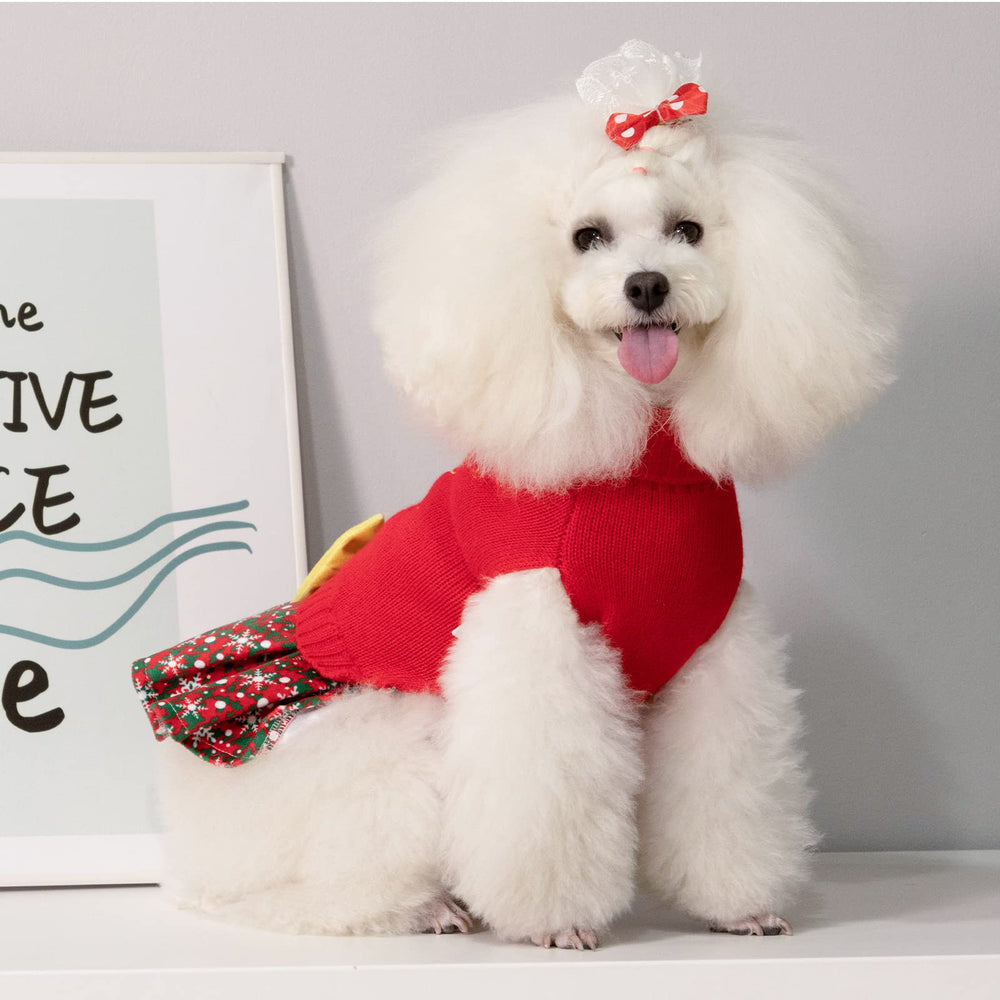CuteBone leash-hole design offers easy leash access during walks