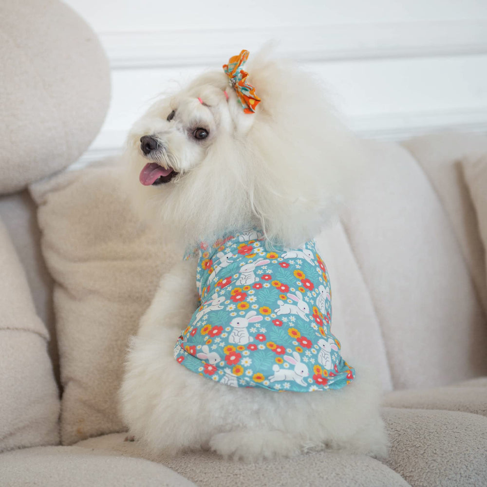 CuteBone machine-washable dog shirt simplifies cleanup after adventures