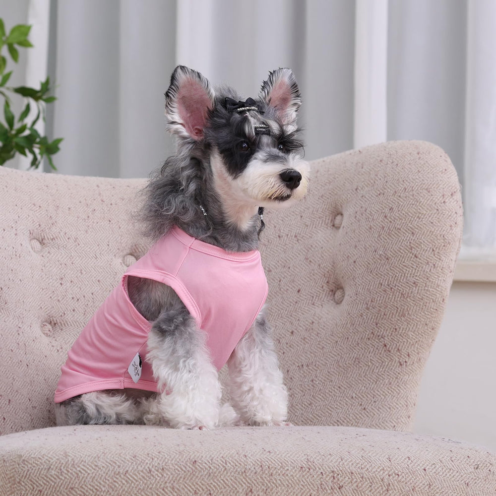 CuteBone pink dog shirt is photoshoot-ready for cute, share-worthy moments.