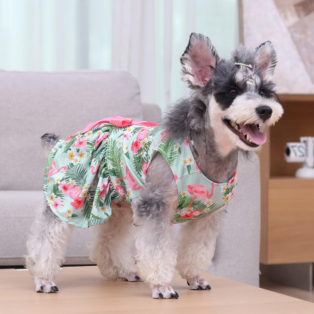 CuteBone pullover design enables quick on-off for small dogs