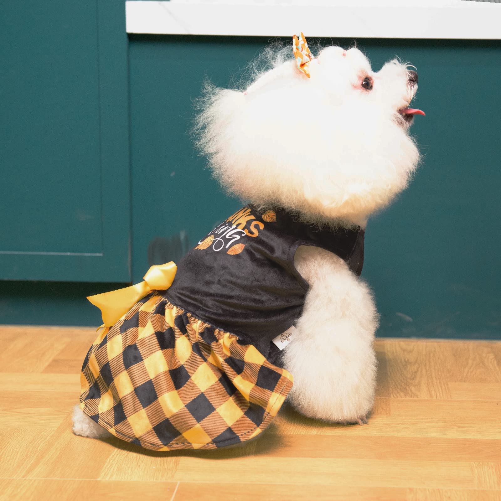 CuteBone pullover design image demonstrates easy dressing for busy mornings
