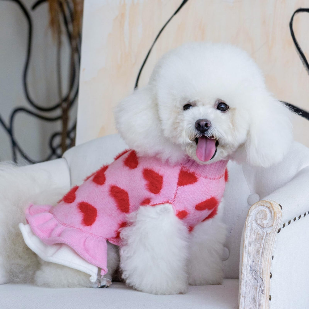 CuteBone pullover easy-wear dog sweater for quick dressing.