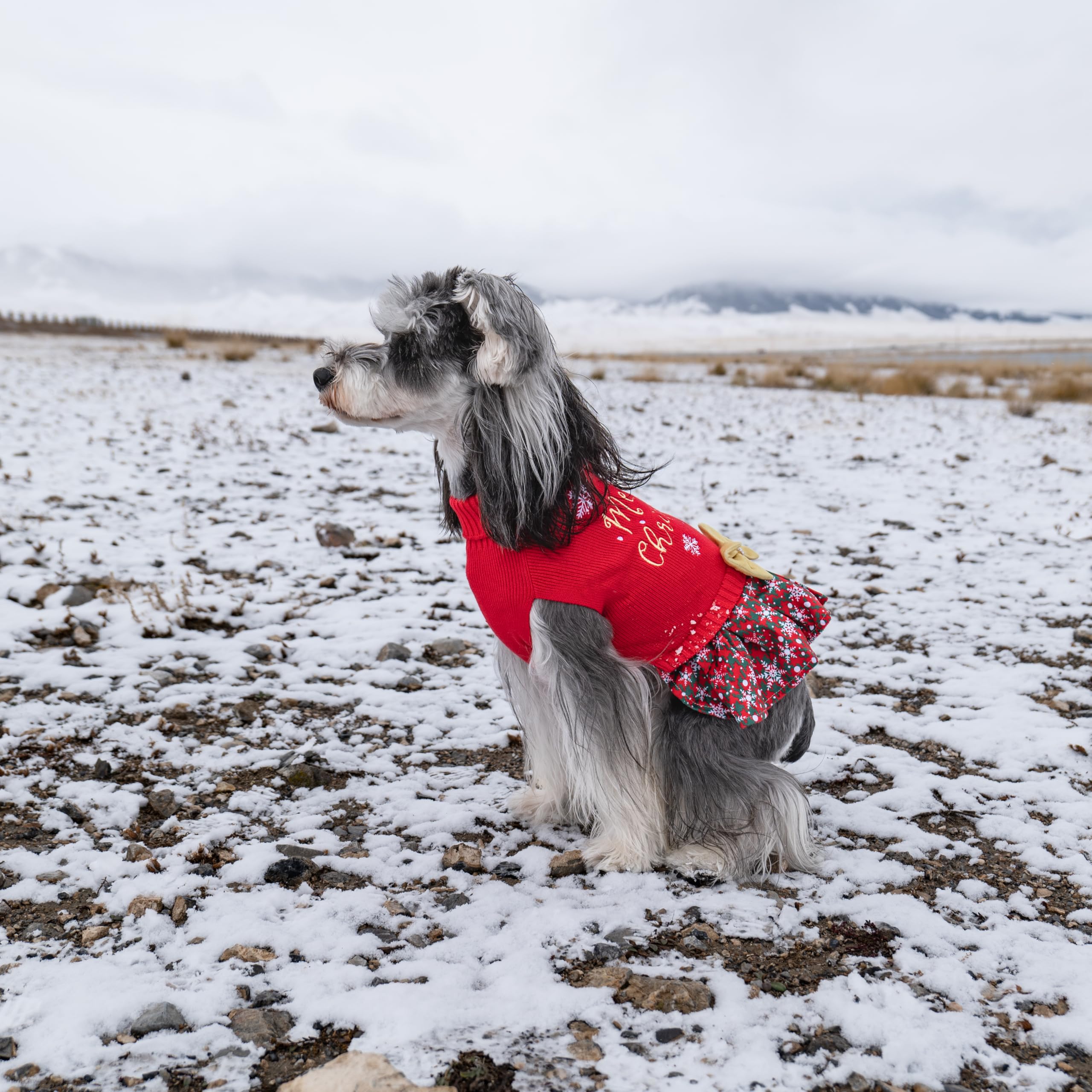 CuteBone pullover design makes dressing quick and comfortable