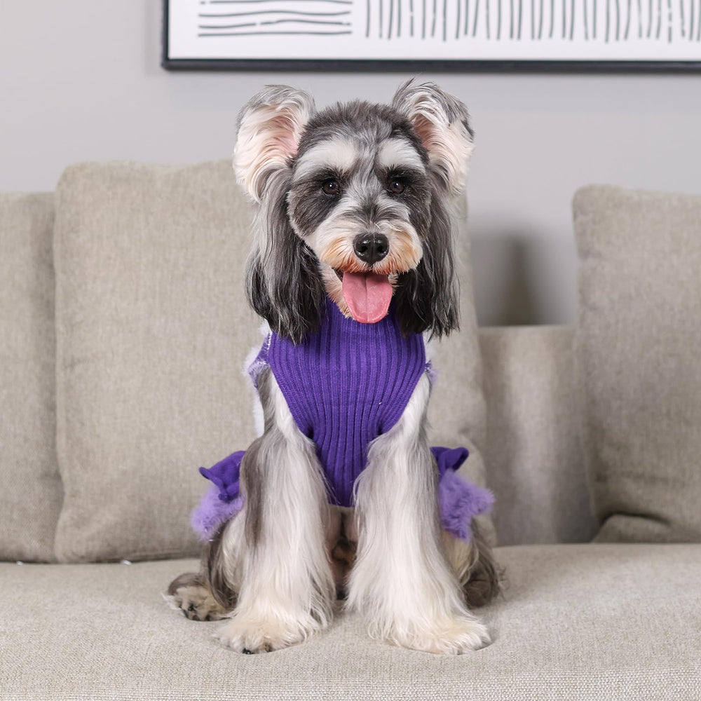 CuteBone Purple Heart Dog Sweater Dress lifestyle-wear ideal for photos and cuddles.