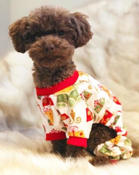 CuteBone shedding-control dog pajamas illustrate fur containment for tidier living spaces