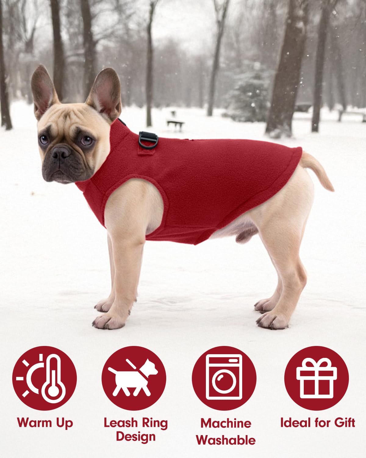 CuteBone size-fit for small and medium dogs, shown in a try-on view.