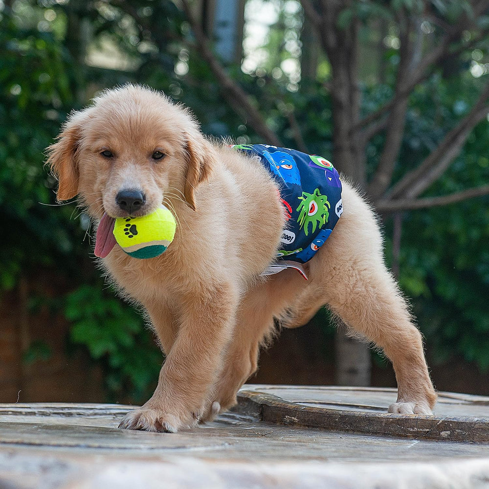 CuteBone size-guide measures dog waist for a precise fit.