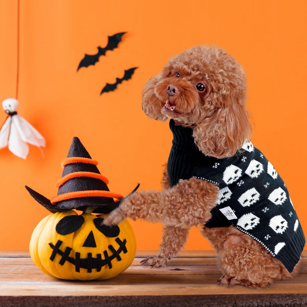 CuteBone skull dog sweater leash-hole-detail demonstrates easy control during walks.