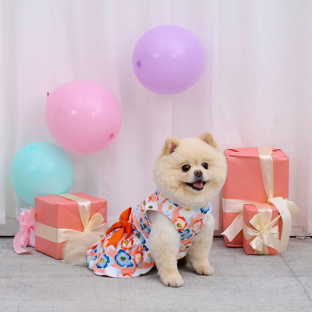 CuteBone velvet dog dress in machine-washable fabric for busy pet owners.