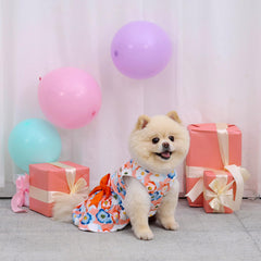 CuteBone velvet dog dress in machine-washable fabric for busy pet owners.