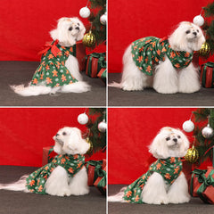 CuteBone small dog size guide helps pick the right fit