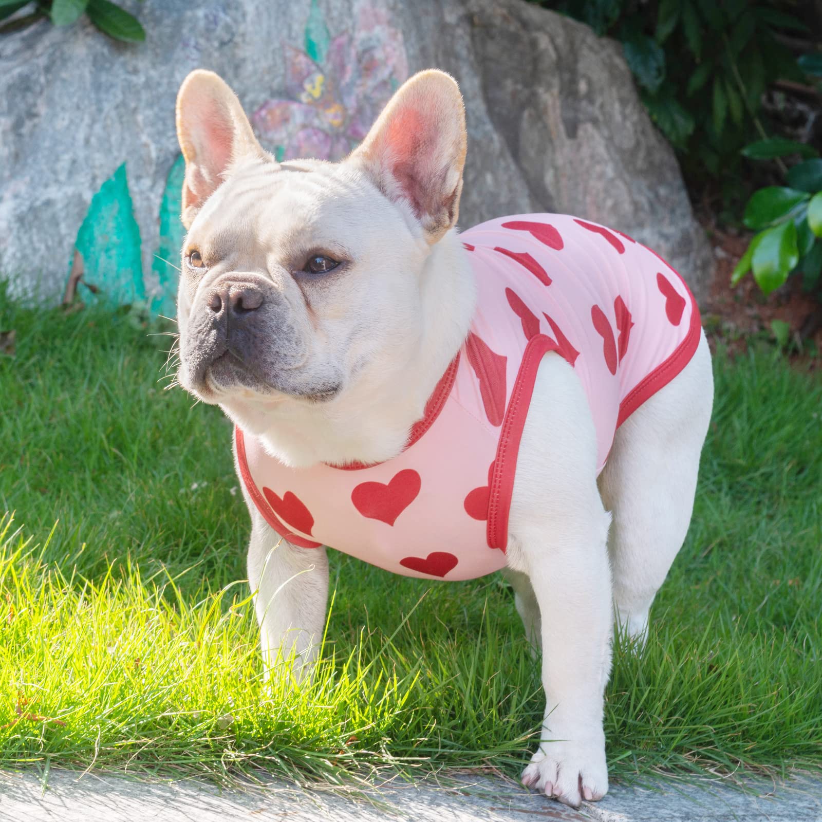 CuteBone soft, breathable fabric keeps pets comfortable