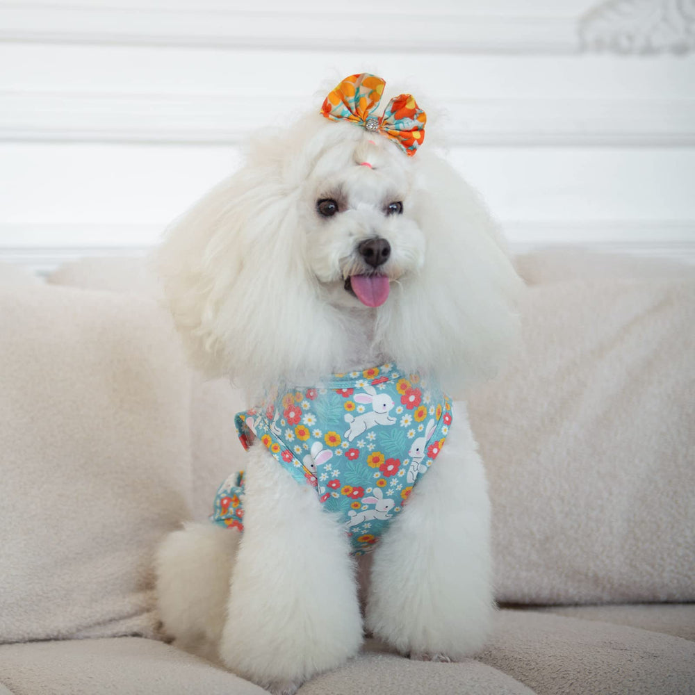 CuteBone St Patrick's and Easter designs for seasonal photo moments