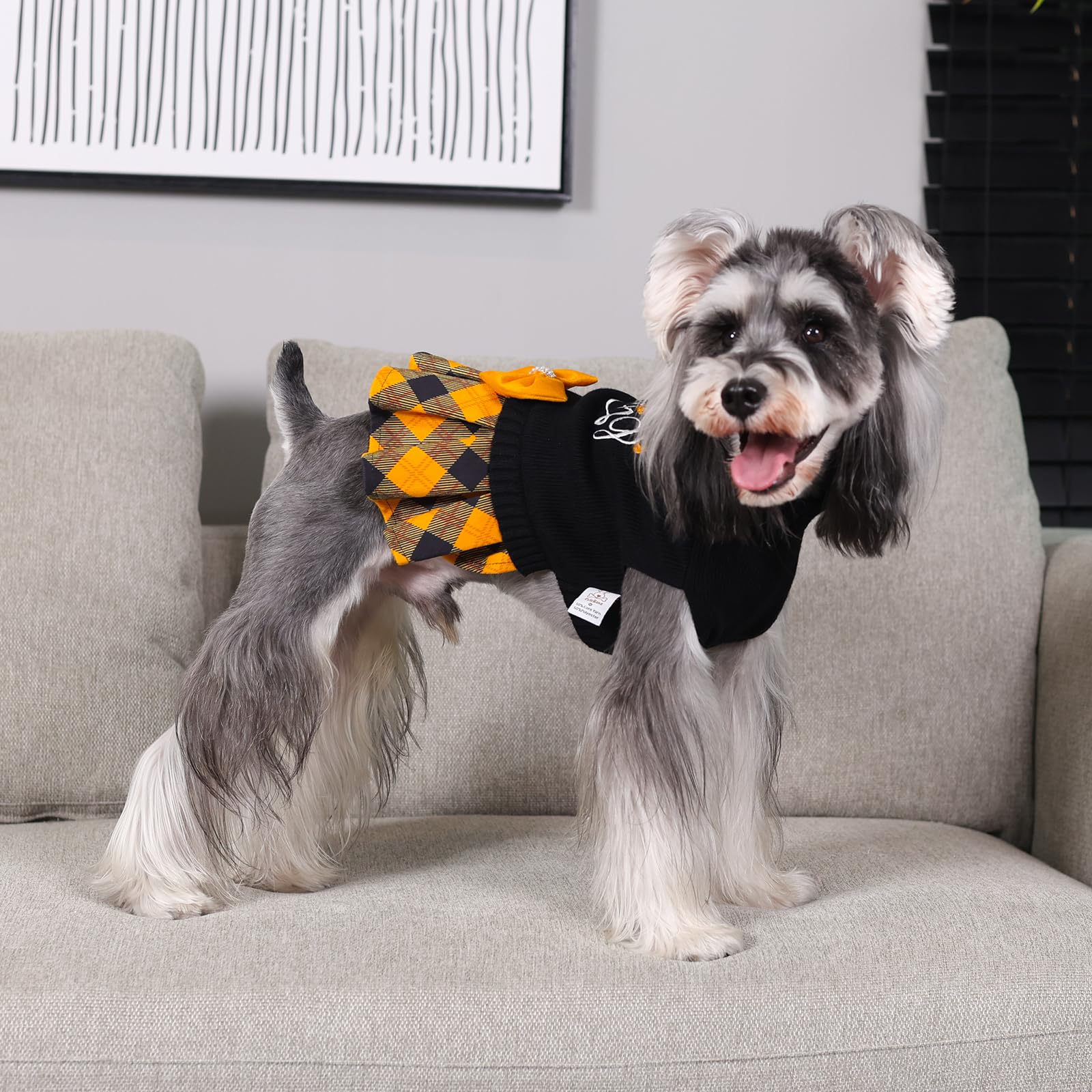CuteBone Thanksgiving dog sweater shows variety of designs for stylish everyday wear