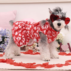 CuteBone Velvet Dress with Bow hair rope ready for photoshoots on a small dog.