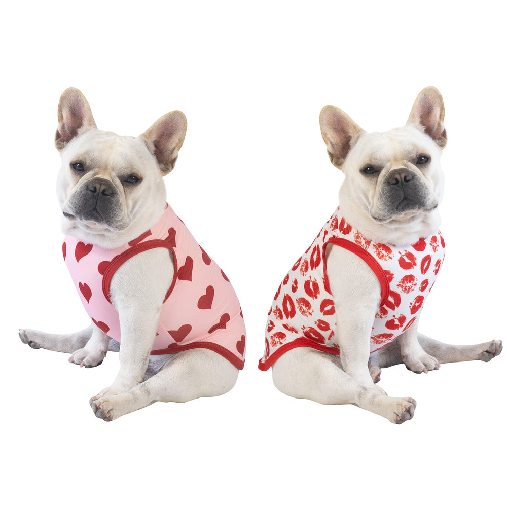 CuteBone Valentine shirt worn on a puppy for festive photos