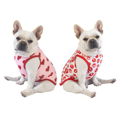 CuteBone Valentine shirt worn on a puppy for festive photos
