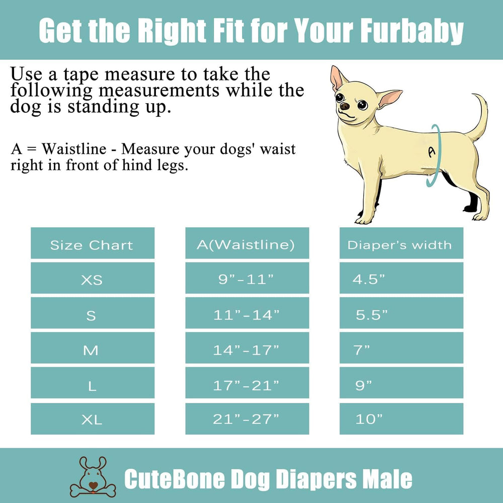 CuteBone in-use wrap on dog demonstrates practical protection at home.