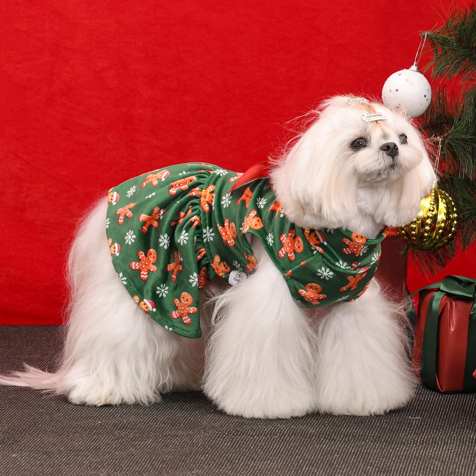 CuteBone dress ready for weddings or special occasions on small pets
