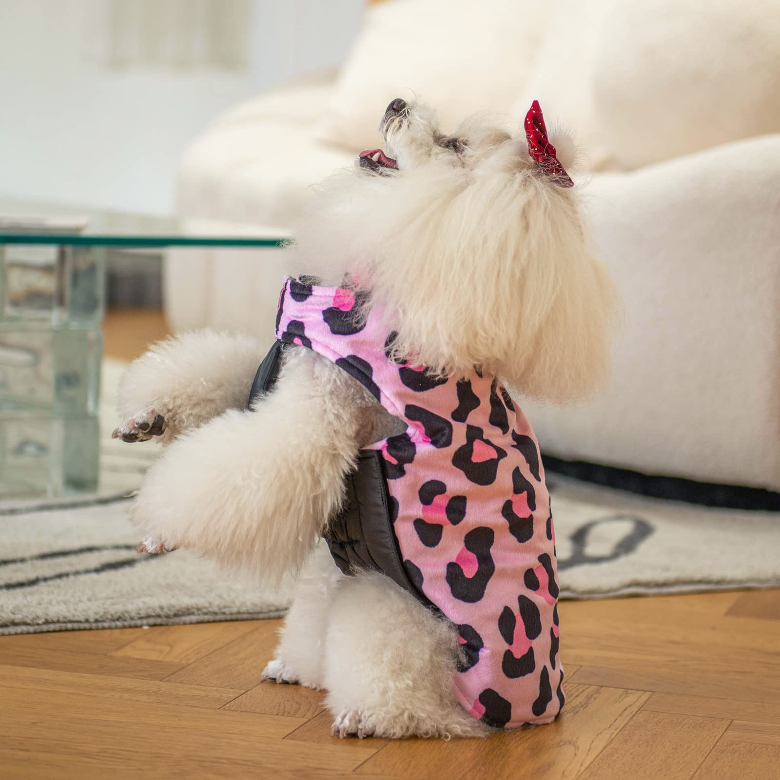 CuteBone plaid-pattern coat highlights stylish outer layer for outdoors.
