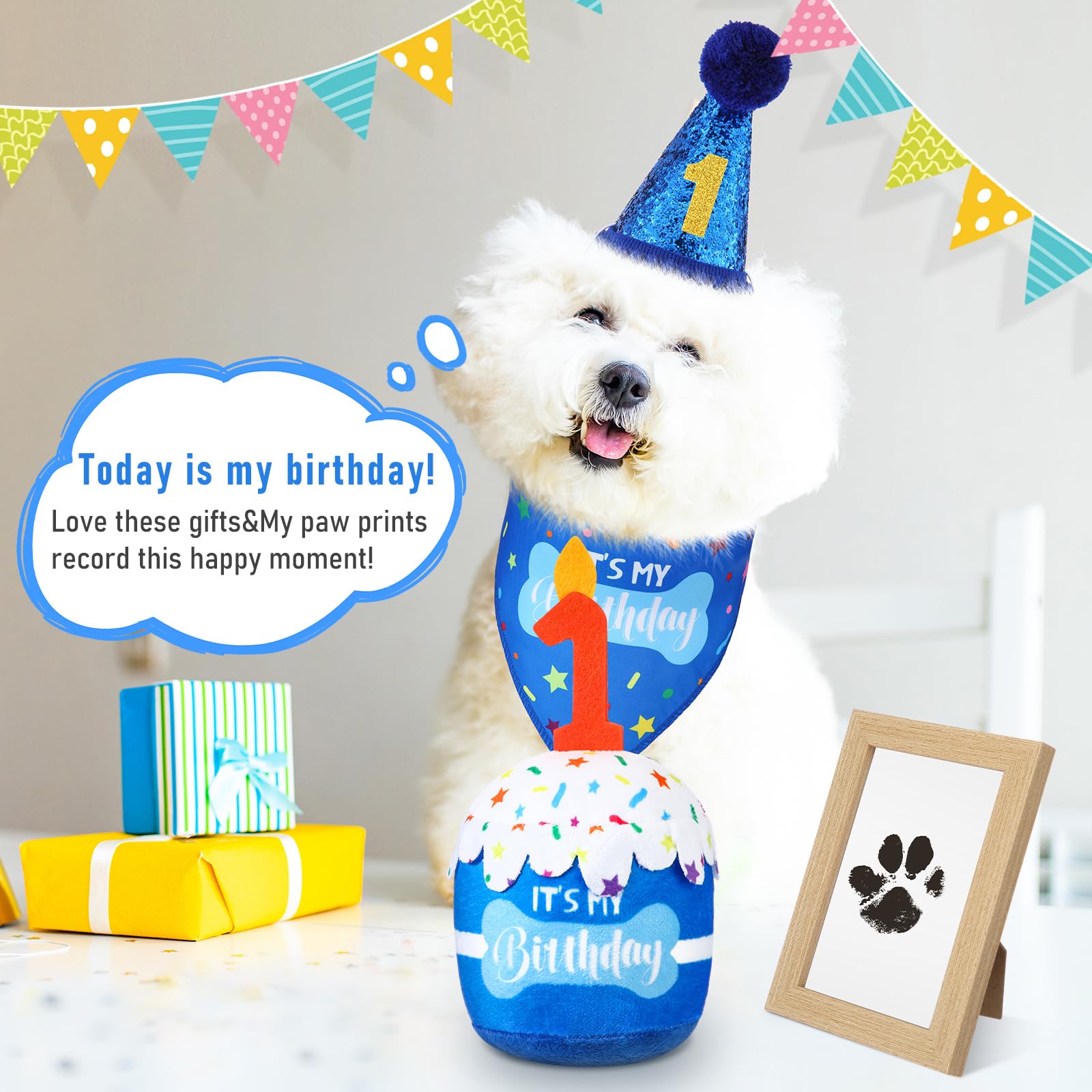 Cutecrop gift set package shows the complete celebration kit.