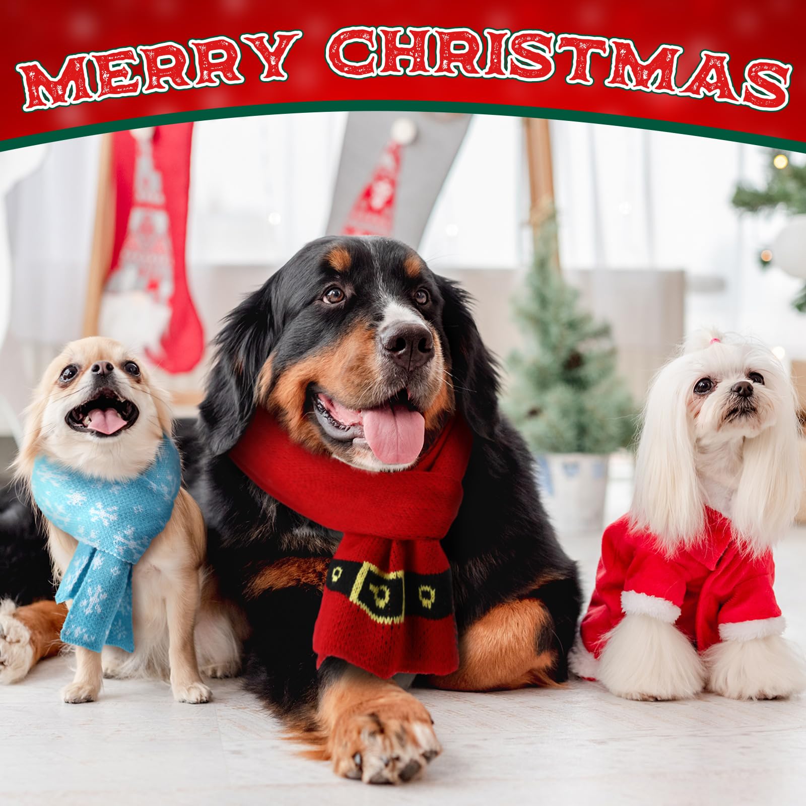 Cutecrop four-pack dog scarf worn for festive styling options.