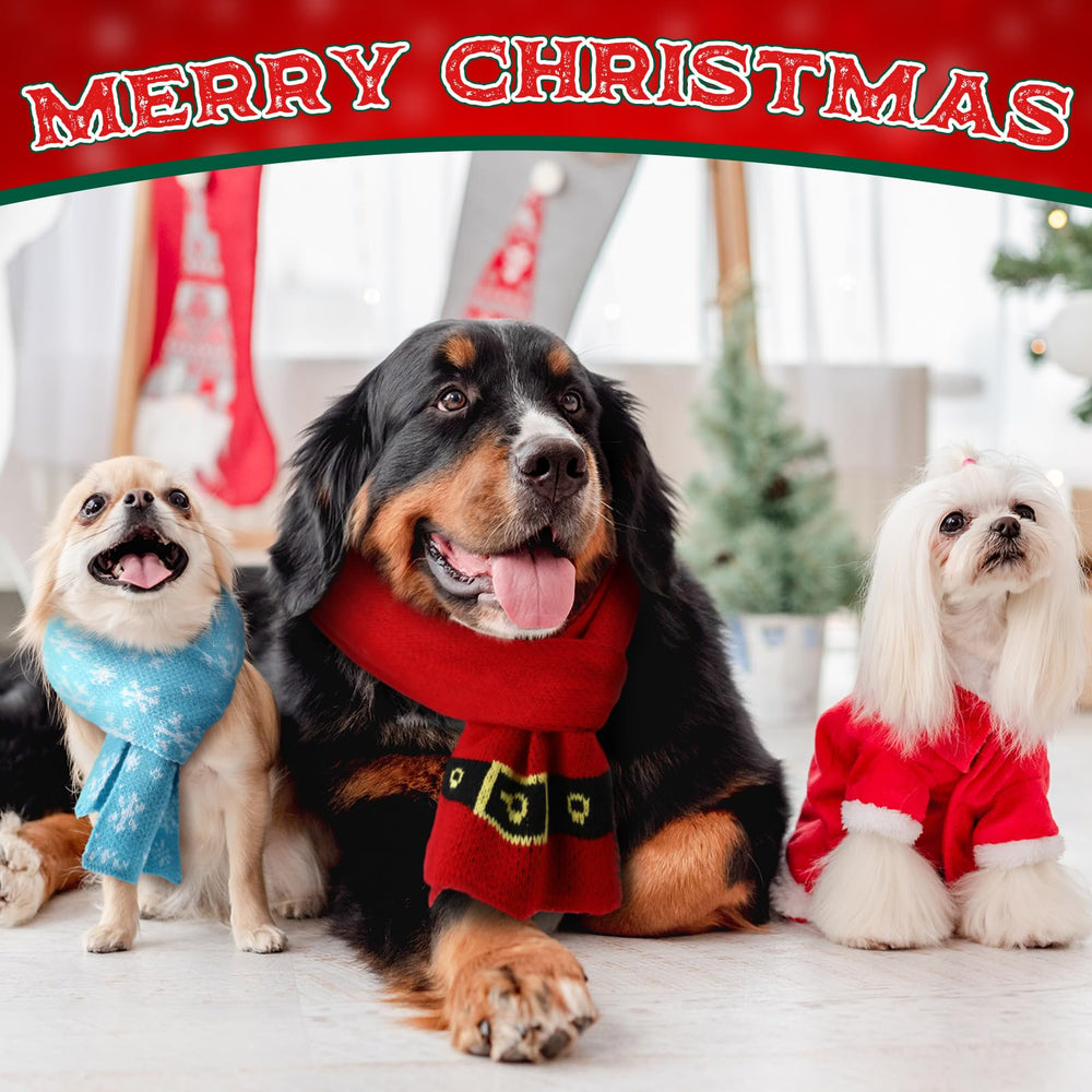 Cutecrop four-pack dog scarf worn for festive styling options.