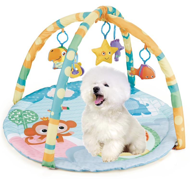 Cutie Patootie Playhouse Puppy Play Gym front view with squeaky toys for engaging playtime.