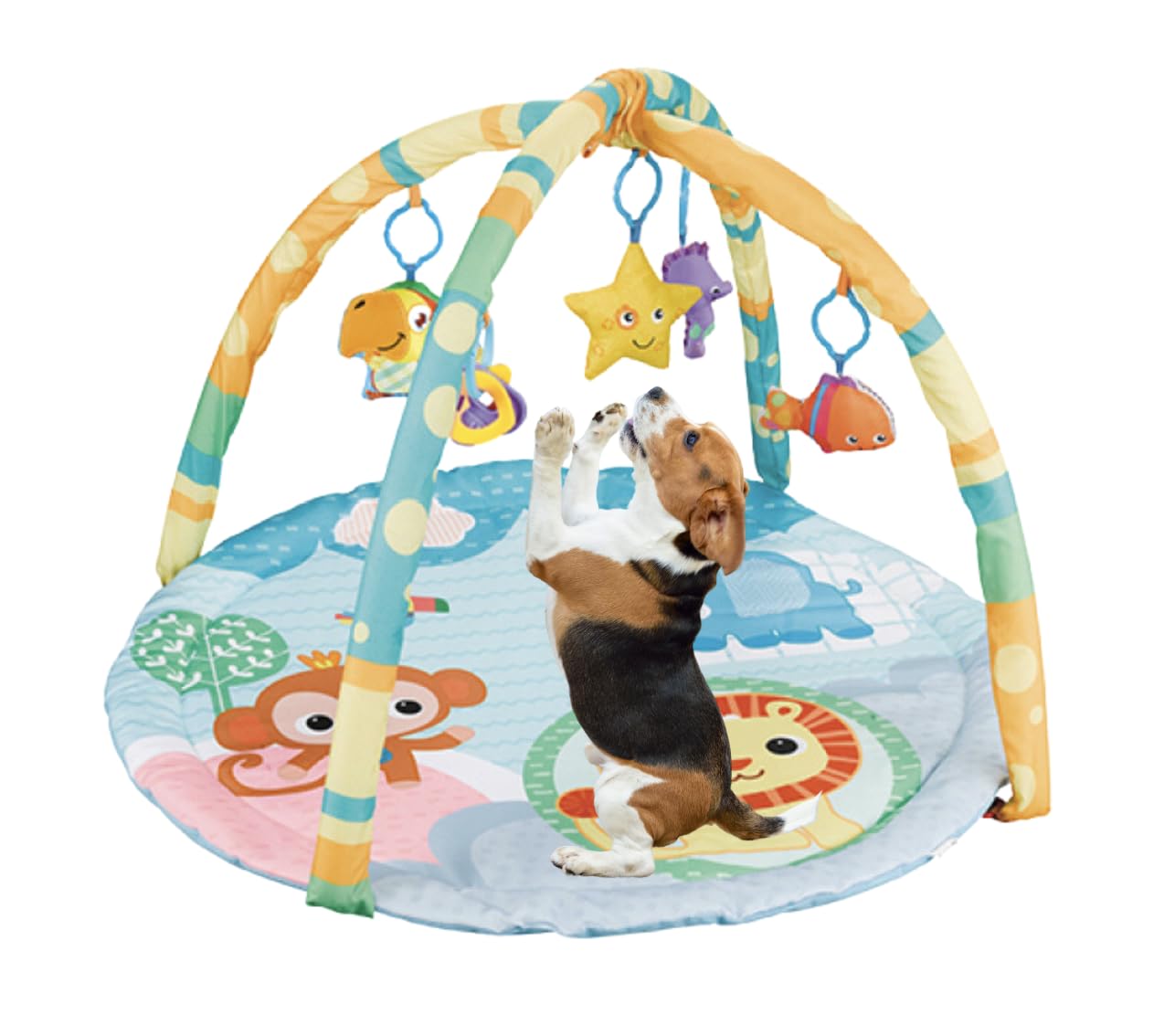 Close-up of squeaky toy on Cutie Patootie Playhouse Play Gym encouraging interactive play.