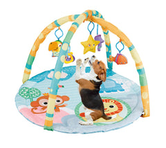Close-up of squeaky toy on Cutie Patootie Playhouse Play Gym encouraging interactive play.