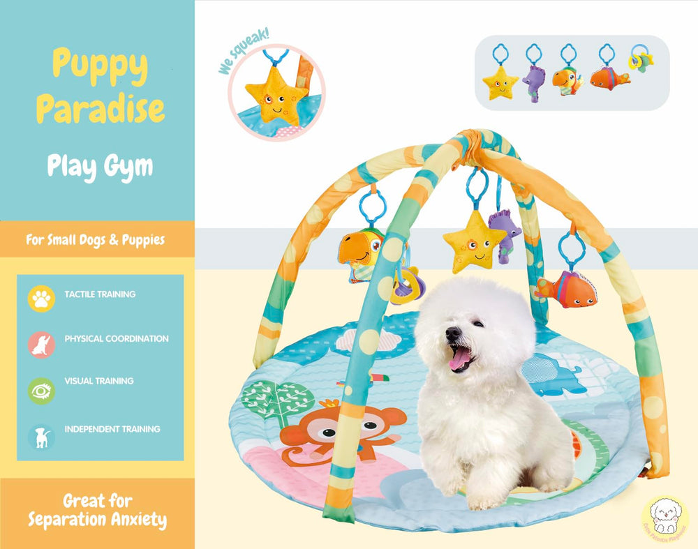 Cutie Patootie Playhouse Puppy Play Gym full layout shows versatile indoor activity mat.
