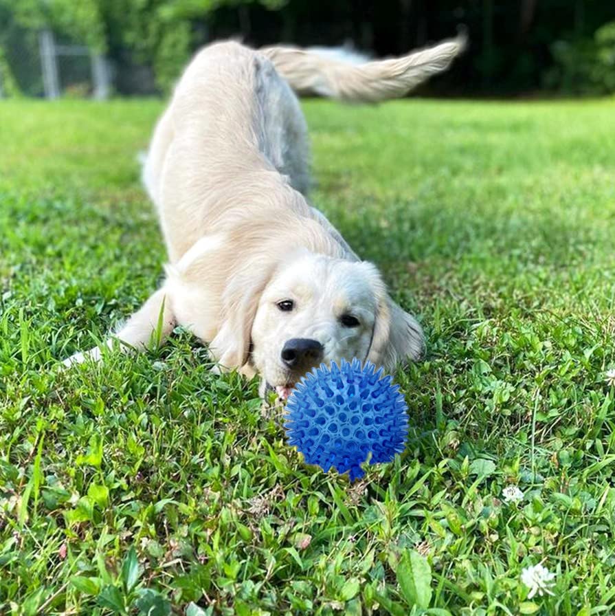 Cutie's PetBox 3.5-inch blue toy—durable spike balls for fetch and chew.