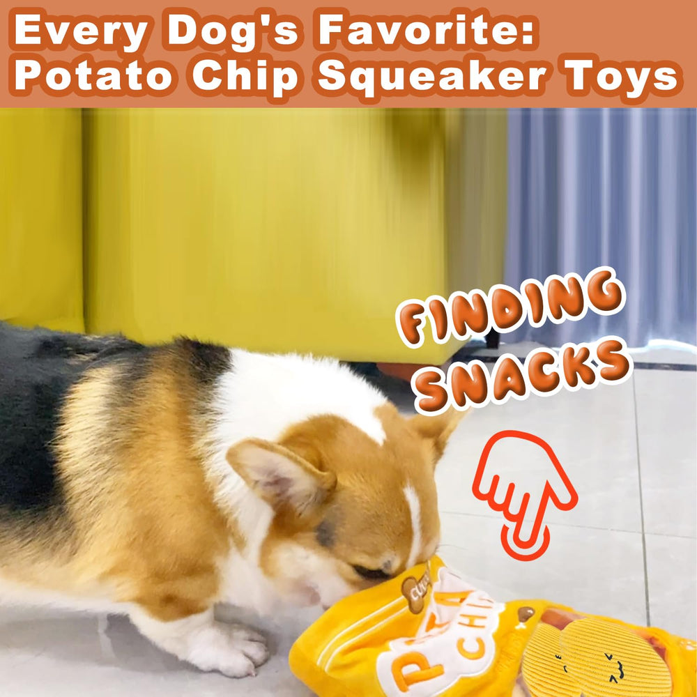CUUOOT indoor-outdoor set offers versatile fun for medium and large dogs.