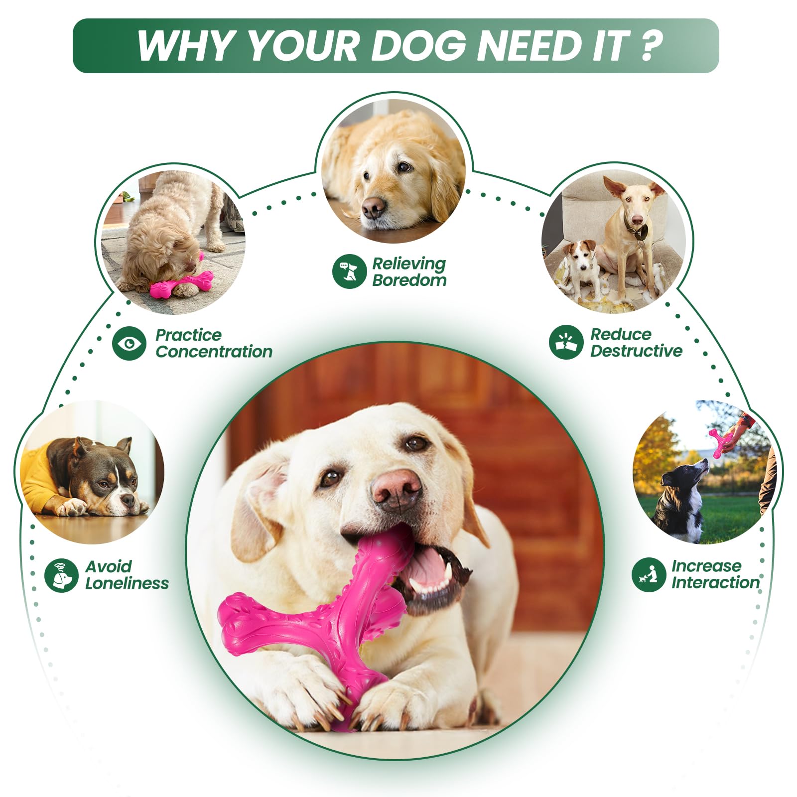 CVALIN large-breed dog toy for safe indoor outdoor play