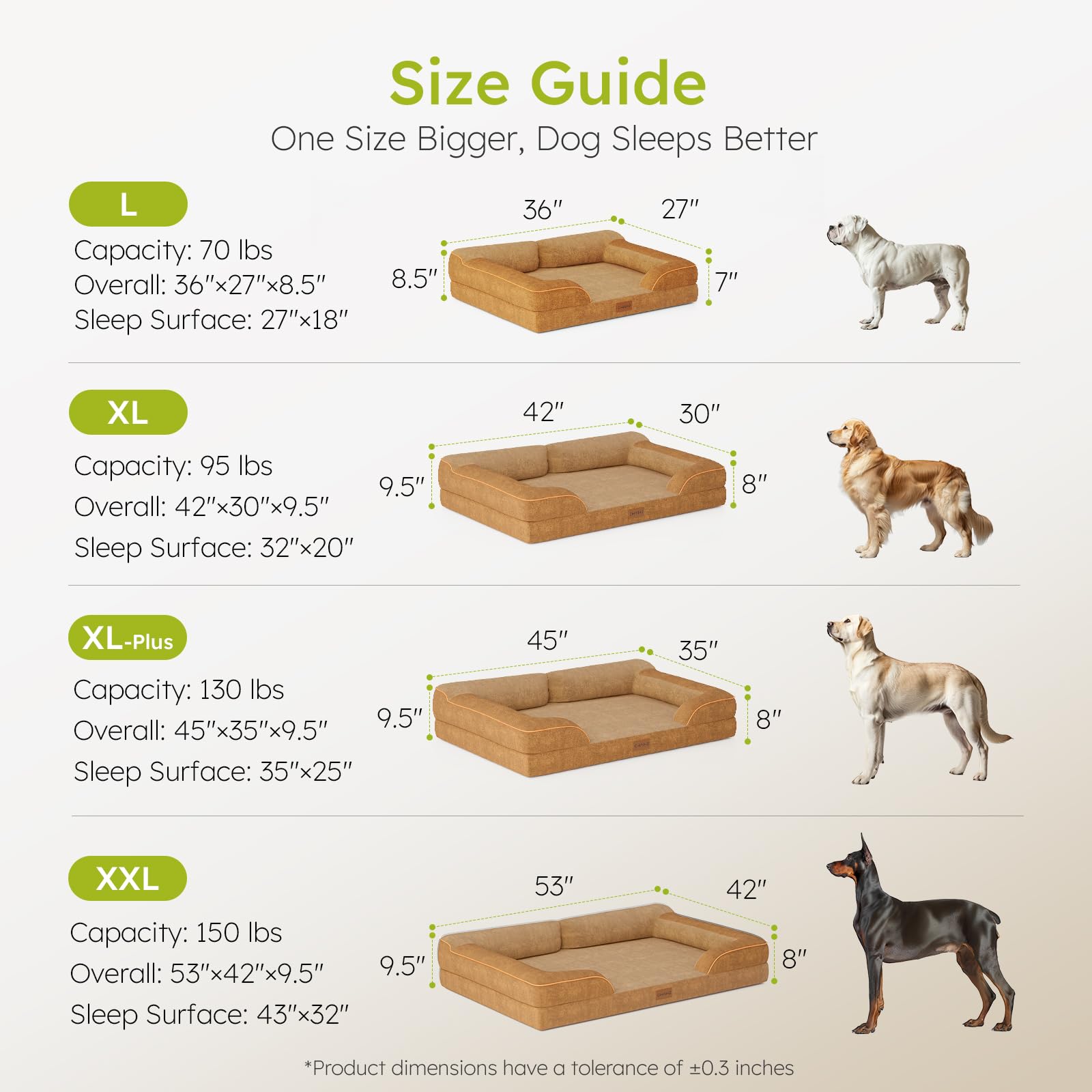 CWAWZ bone toy included adds enrichment and play.