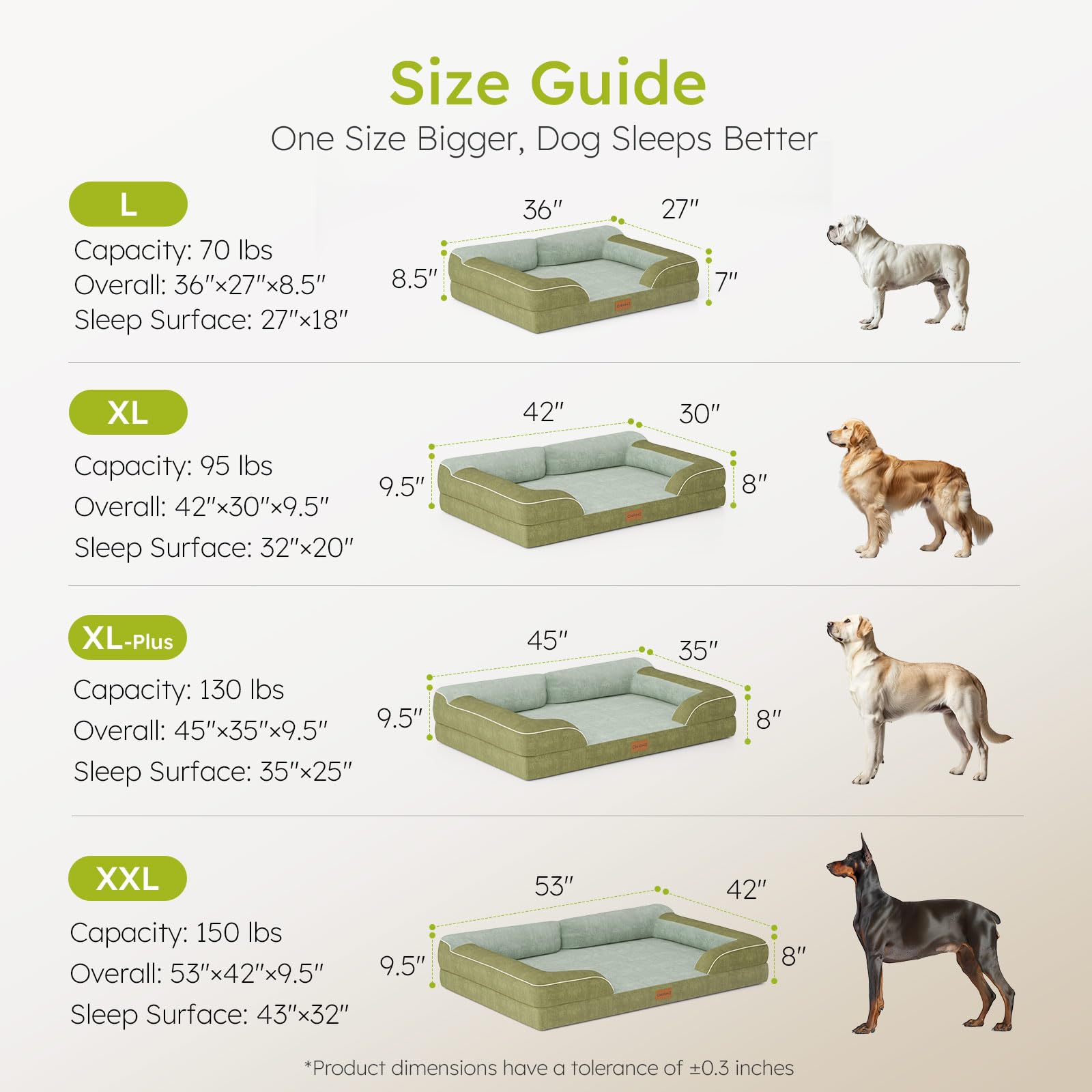 CWAWZ Jumbo Bed bone toy included for enrichment