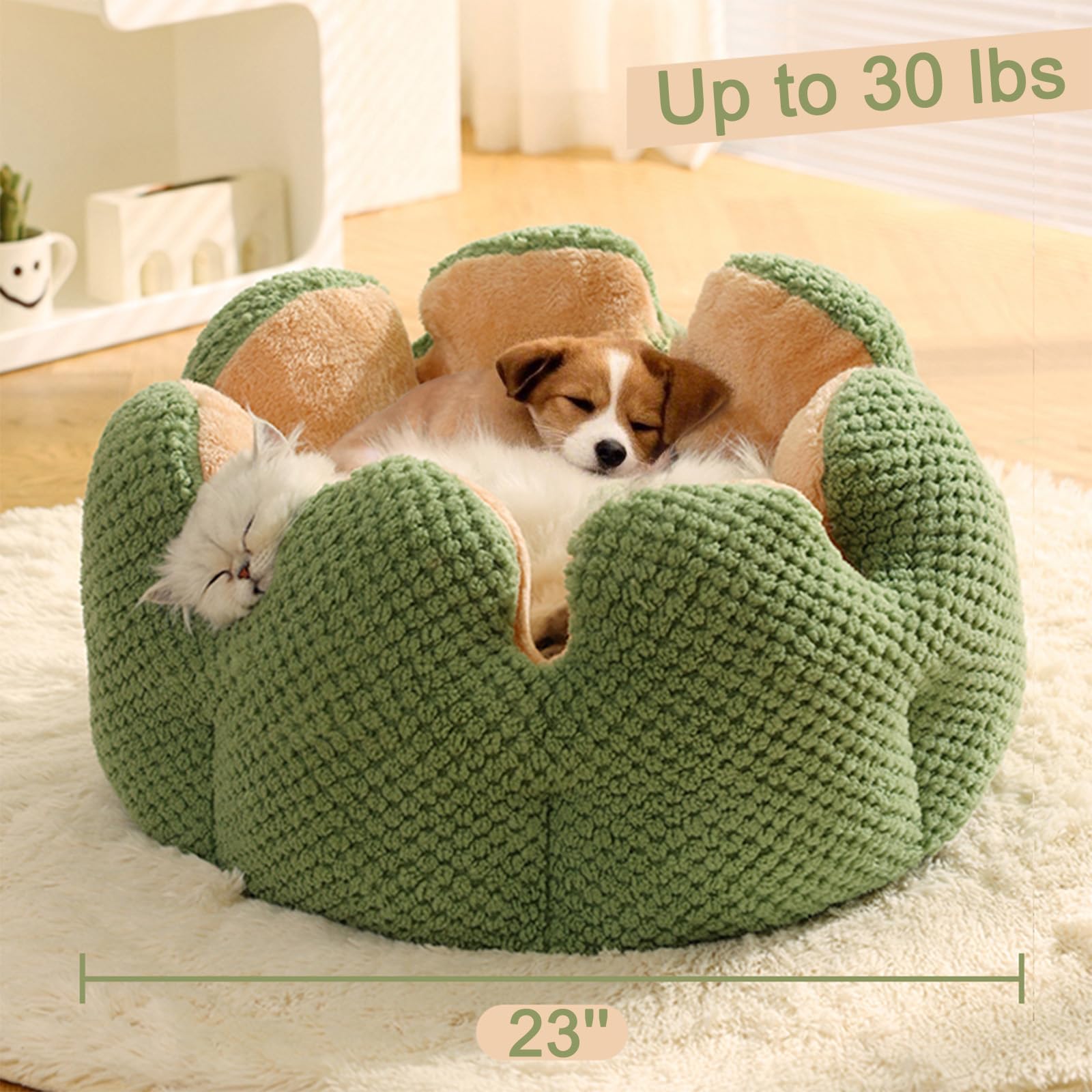 CWV Cute Cat Beds 23-inch diameter offers ample room for small pets